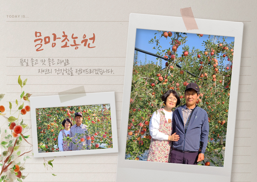 ³óÀåÁÖ ºÎºÎ»çÁø